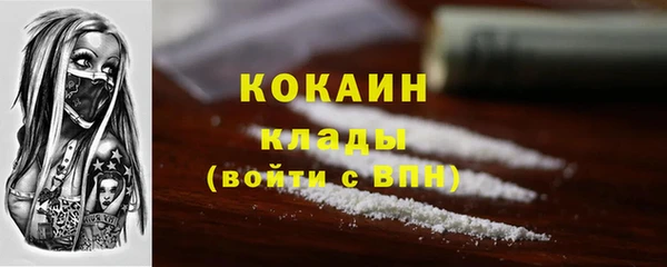 мдпв Кулебаки
