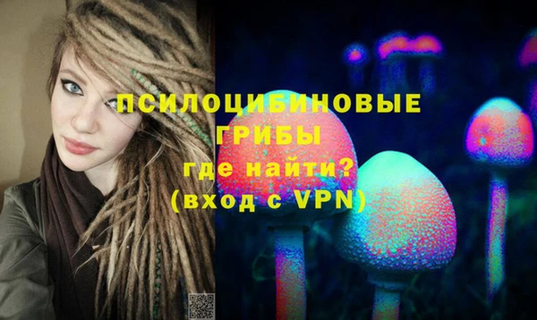мдпв Кулебаки